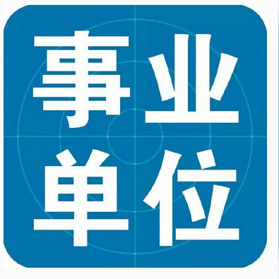 成武最新招聘信息发布，岗位更新与求职指南