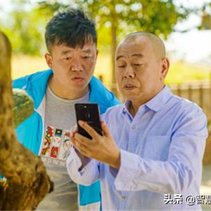 最新开播电视剧解析，数据背后的故事