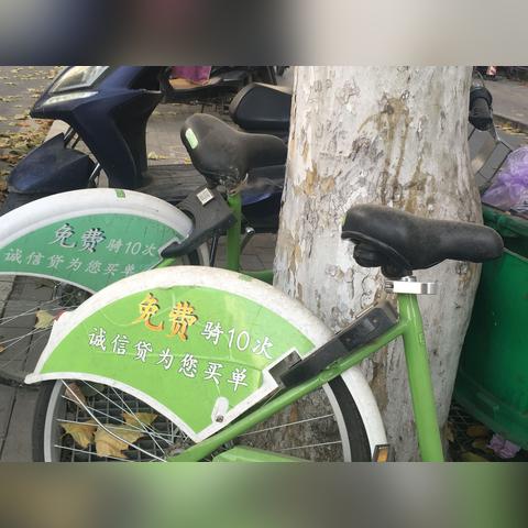 今日废品价格行情分析