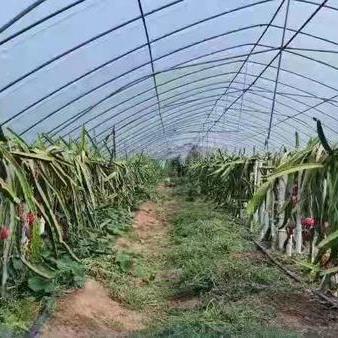 舞阳最新招聘信息汇总