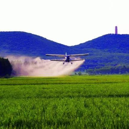 最新动态：农垦改革如何推动农业现代化与国家粮食安全