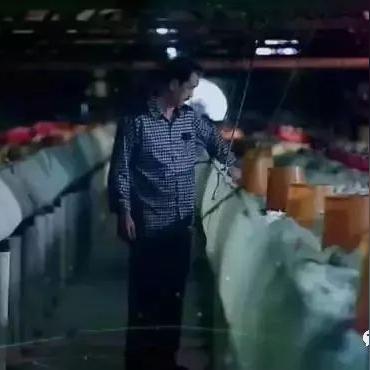 遵化市最新政策与经济发展动态：提升市民生活质量与就业机会