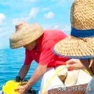 探索最新的捕鱼技术：高效、智能与可持续发展