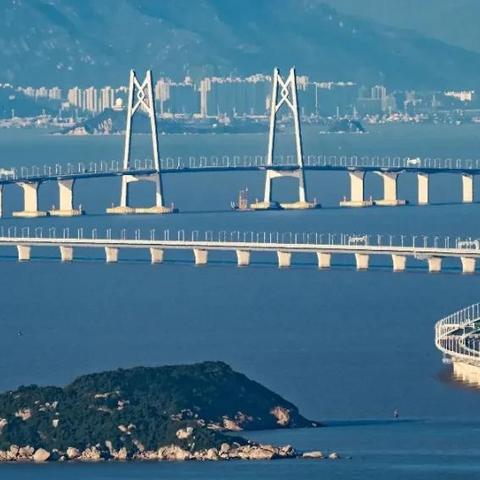 现象解释管理：2025澳门最精准免费大全网,狗、兔、牛、龙