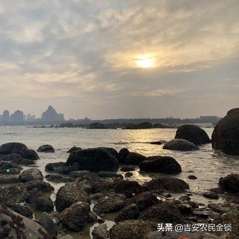 阿鱼酱海洋奇妙之旅揭秘视频新动态