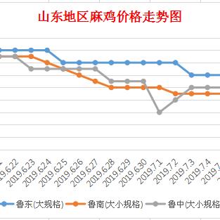 2025年2月19日麻鸡价格最新动态：地区差异与交易建议