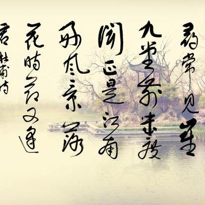数字时代下的文化繁荣与变迁，最新落花网观察