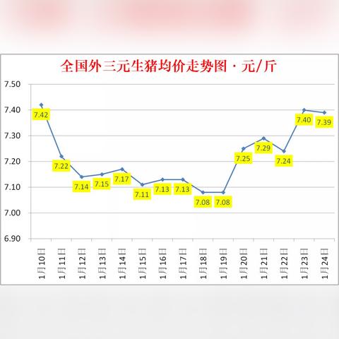 今日生猪价格走势分析