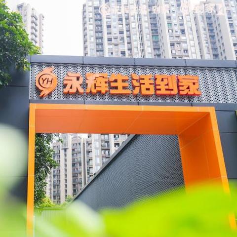 微信名字背后的数据洞察揭秘