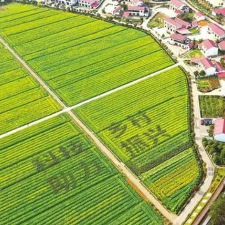 株洲富士康最新动态更新报告