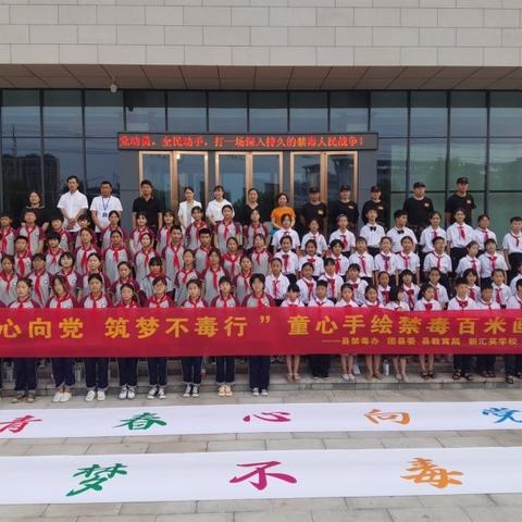 临泉县教育网最新动态，深度解读消息