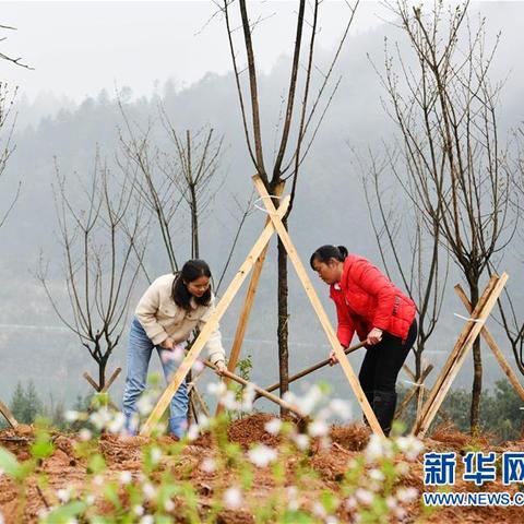 锦屏县政府网最新动态概览