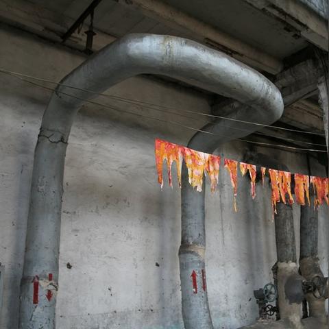 鸟语蝉鸣