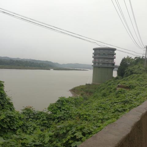 不畏权贵