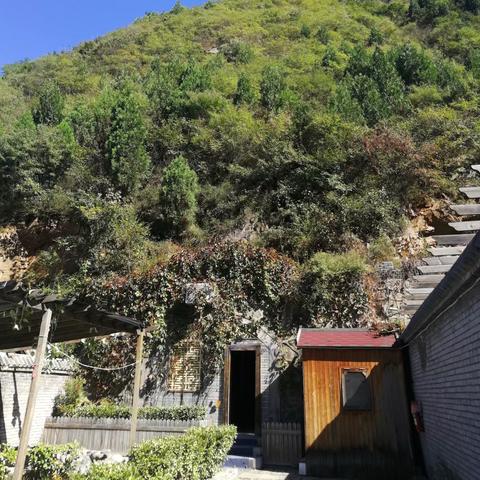 商务服务